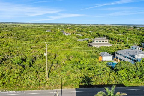 Land in Saint Augustine, Florida № 769121 - photo 11