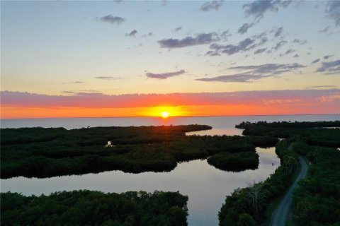 Terreno en venta en Punta Gorda, Florida № 1196069 - foto 13