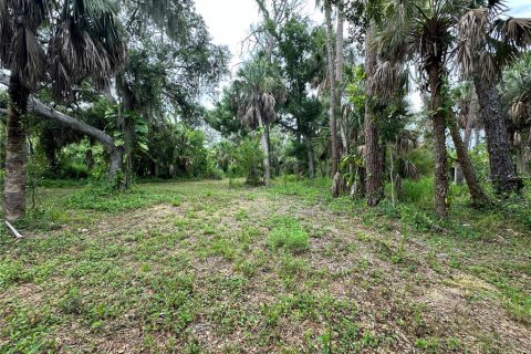 Terreno en venta en Englewood, Florida № 1248462 - foto 7