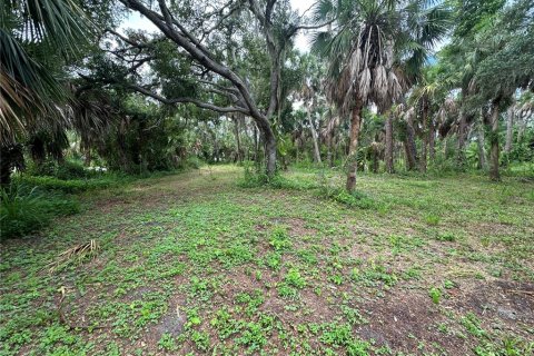 Terreno en venta en Englewood, Florida № 1248462 - foto 5