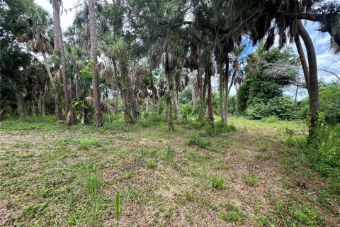 Terreno en venta en Englewood, Florida № 1248462 - foto 6