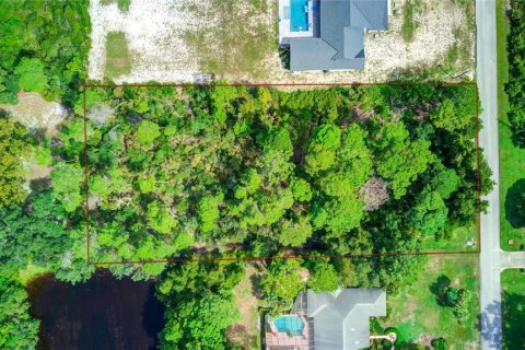 Land in Weeki Wachee, Florida № 1362999 - photo 1