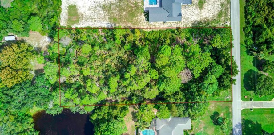 Land in Weeki Wachee, Florida № 1362999