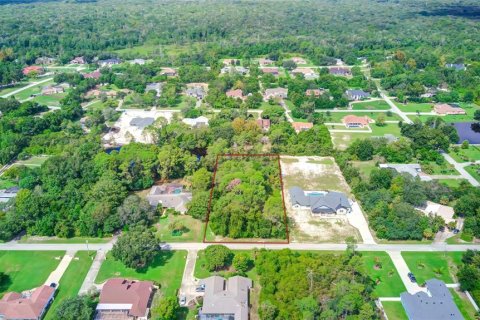 Land in Weeki Wachee, Florida № 1362999 - photo 10