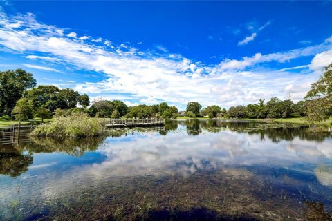 Land in Weeki Wachee, Florida № 1362999 - photo 15