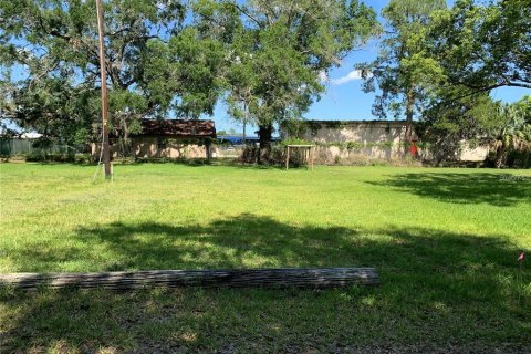 Terrain à vendre à Sanford, Floride № 1368115 - photo 4