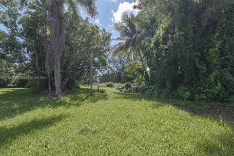 Terrain à vendre à Palmetto Bay, Floride № 1362584 - photo 10