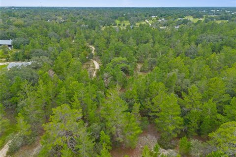 Land in Brooksville, Florida № 1366253 - photo 1