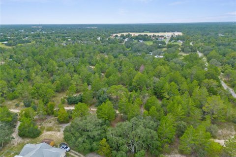 Terreno en venta en Brooksville, Florida № 1366253 - foto 3