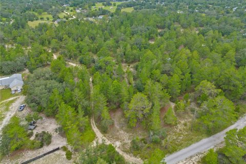 Land in Brooksville, Florida № 1366253 - photo 2