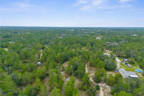 Land in Brooksville, Florida № 1366253 - photo 5