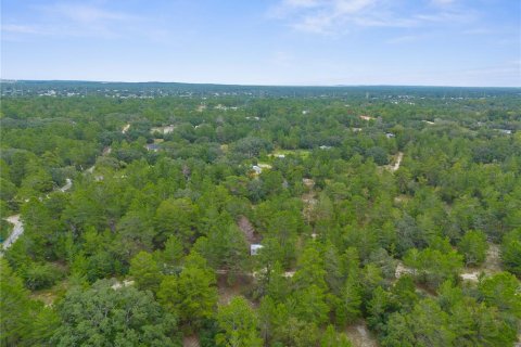 Land in Brooksville, Florida № 1366253 - photo 7