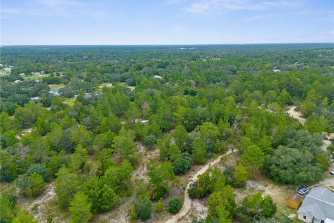 Terreno en venta en Brooksville, Florida № 1366253 - foto 4