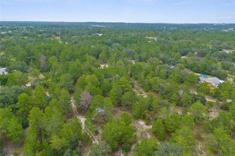 Terreno en venta en Brooksville, Florida № 1366253 - foto 6