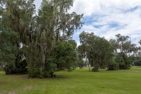 Terrain à vendre à Bunnell, Floride № 1378007 - photo 6