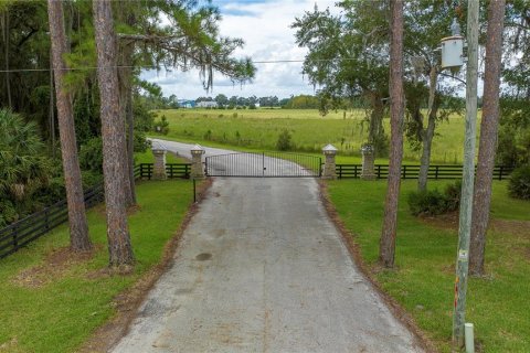 Land in Bunnell, Florida № 1378007 - photo 13