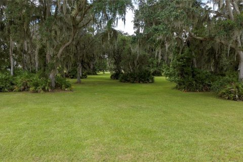 Terrain à vendre à Bunnell, Floride № 1378007 - photo 7