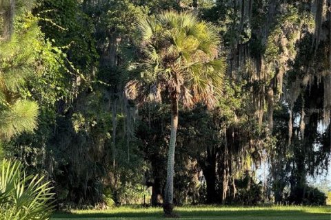 Land in Bunnell, Florida № 1378007 - photo 5