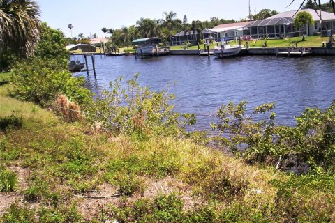 Купить земельный участок в Порт-Шарлотт, Флорида № 215485 - фото 10