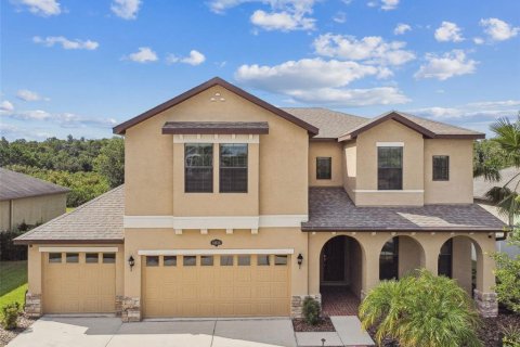 Casa en venta en Tampa, Florida, 5 dormitorios, 317.17 m2 № 1288238 - foto 6