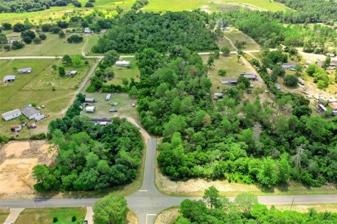 Land in Ocala, Florida № 1260104 - photo 16