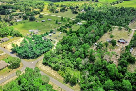 Land in Ocala, Florida № 1260104 - photo 7