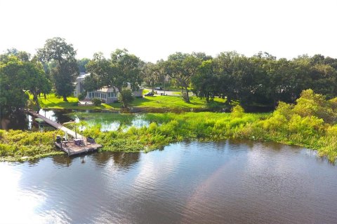 Land in Seffner, Florida № 1308380 - photo 4