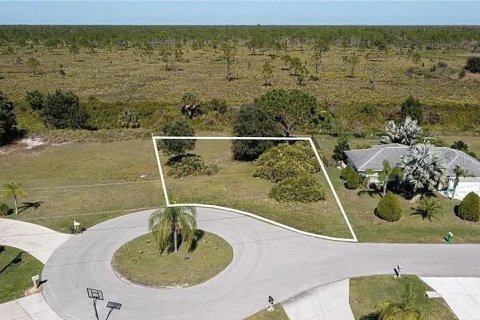 Terrain à vendre à Punta Gorda, Floride № 1376546 - photo 5