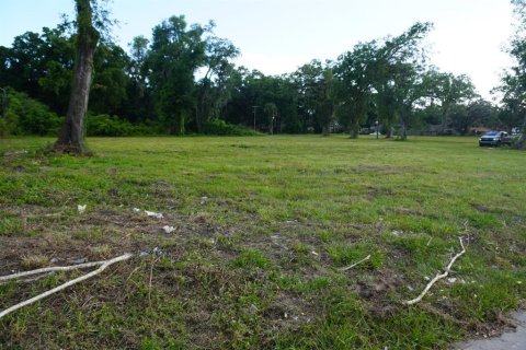 Terreno en venta en Ocala, Florida № 1144082 - foto 5