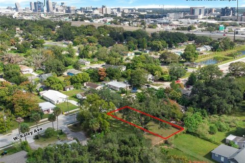 Terreno en venta en Orlando, Florida № 1363250 - foto 6