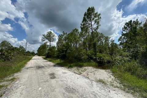 Terreno en venta en Punta Gorda, Florida № 1257694 - foto 1