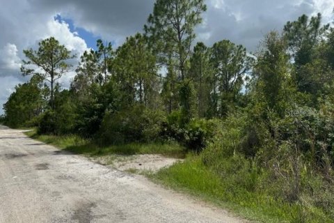 Terreno en venta en Punta Gorda, Florida № 1257694 - foto 5