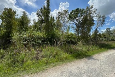 Terreno en venta en Punta Gorda, Florida № 1257694 - foto 4