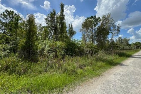 Land in Punta Gorda, Florida № 1257694 - photo 3