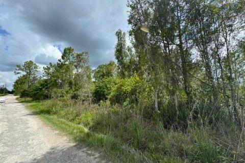 Terreno en venta en Punta Gorda, Florida № 1257694 - foto 2