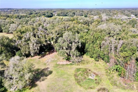 Terrain à vendre à Dade City, Floride № 957695 - photo 5