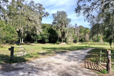 Terrain à vendre à Dade City, Floride № 957695 - photo 1