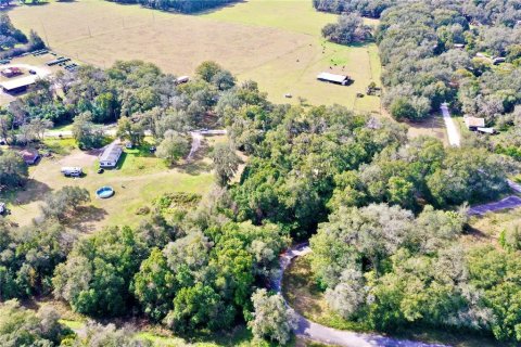 Terrain à vendre à Dade City, Floride № 957695 - photo 4