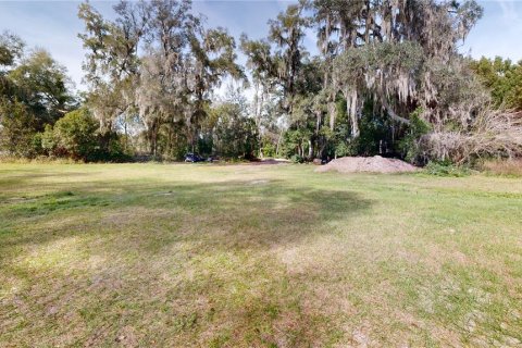 Land in Dade City, Florida № 957695 - photo 3