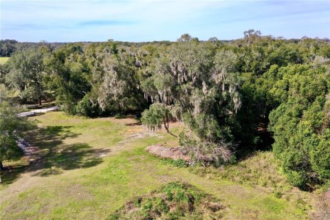 Terrain à vendre à Dade City, Floride № 957695 - photo 6