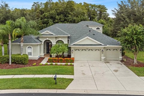 Villa ou maison à vendre à Land O' Lakes, Floride: 5 chambres, 324.88 m2 № 1363562 - photo 1