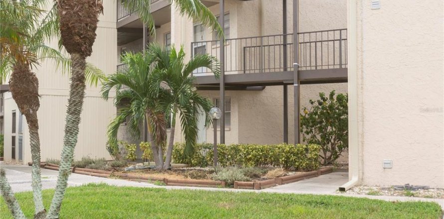 Condominio en New Port Richey, Florida, 1 dormitorio  № 1379587