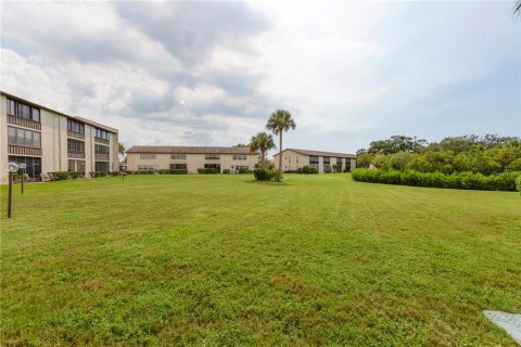 Condo in New Port Richey, Florida, 1 bedroom  № 1379587 - photo 17