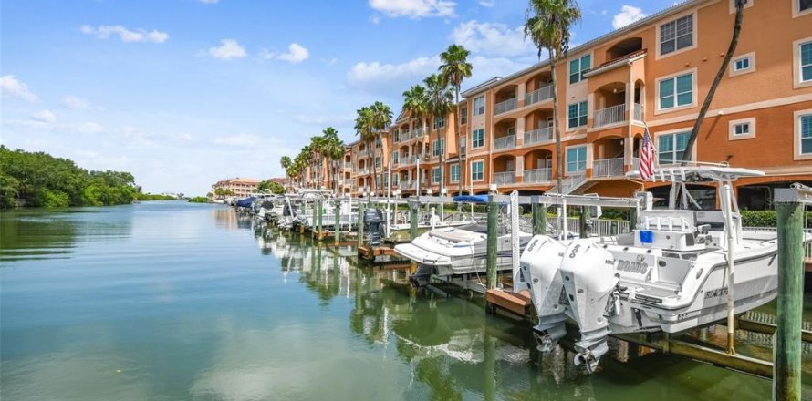 Condo in Tampa, Florida, 1 bedroom  № 1244412