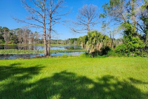 Terreno en venta en Geneva, Florida № 1366255 - foto 1