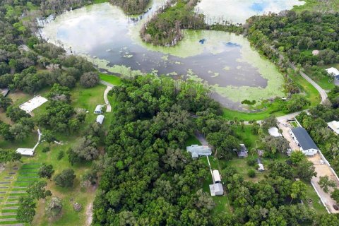 Land in Geneva, Florida № 1366255 - photo 19