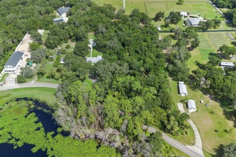 Terreno en venta en Geneva, Florida № 1366255 - foto 10