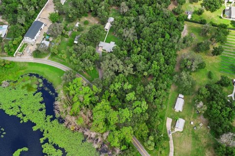 Terreno en venta en Geneva, Florida № 1366255 - foto 15