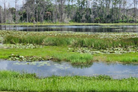 Terreno en venta en Geneva, Florida № 1366255 - foto 2