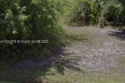 Купить земельный участок в Палм-Бей, Флорида № 6327 - фото 1